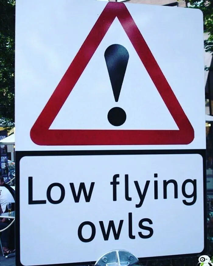 Funny sign warning about low flying owls with an exclamation mark symbol.