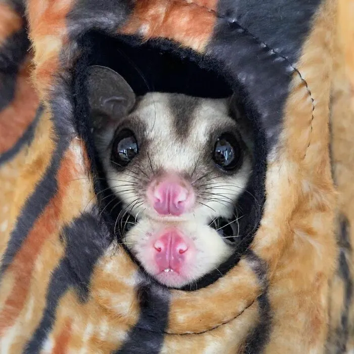 So Curious