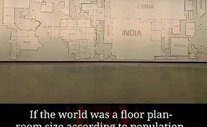 Weird World: 50 Amazing Facts From This Instagram Page To Satisfy Your Curiosity