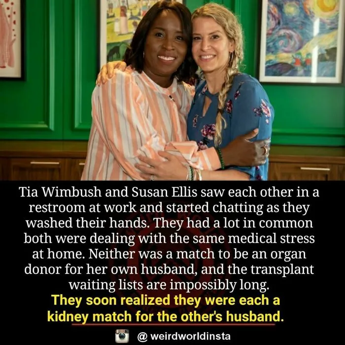 Weird World: 50 Amazing Facts From This Instagram Page To Satisfy Your Curiosity