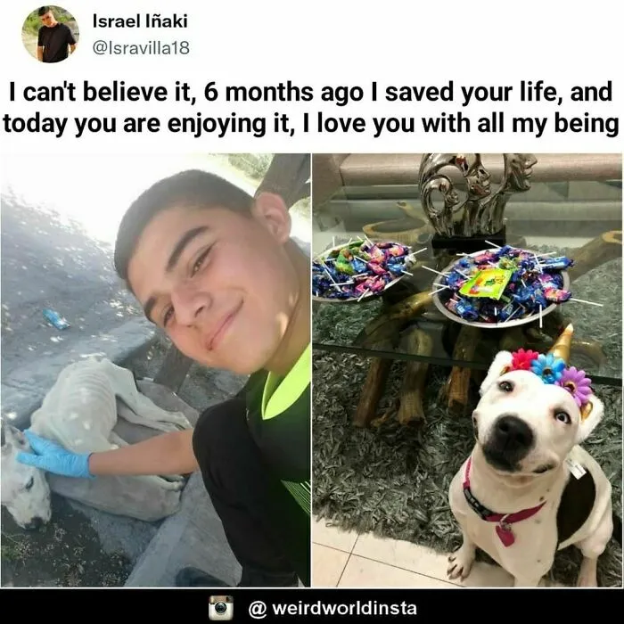 Weird World: 50 Amazing Facts From This Instagram Page To Satisfy Your Curiosity