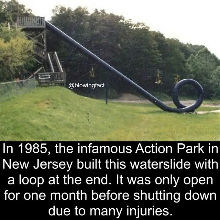 This Instagram Account Shares Fascinating Fun Facts You Probably Didn’t Learn In School, Here Are 50 Of Their Best Posts