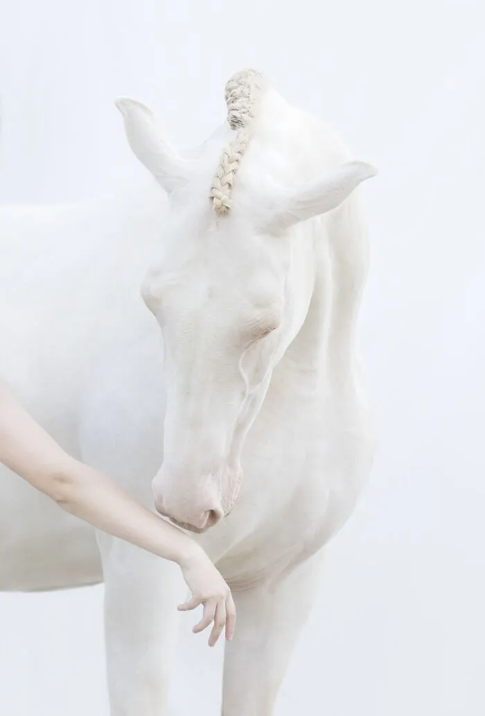 Connection - Helga Madajova