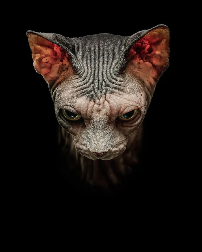 I Will Eat Your Soul - Antti Karppinen