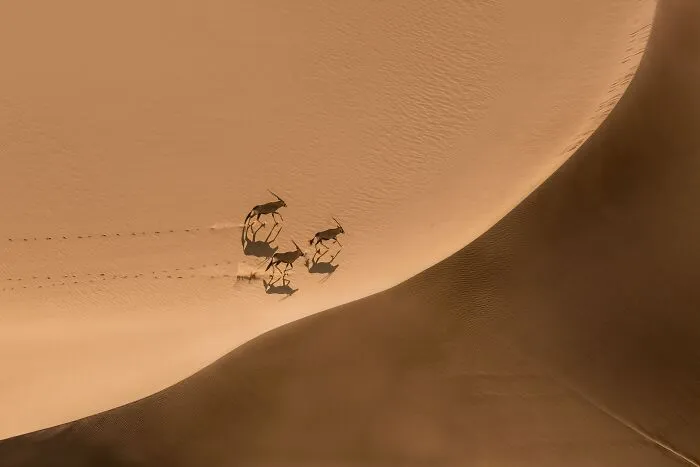 Desert Yin-Yang - Pablo Sarasa Delgado