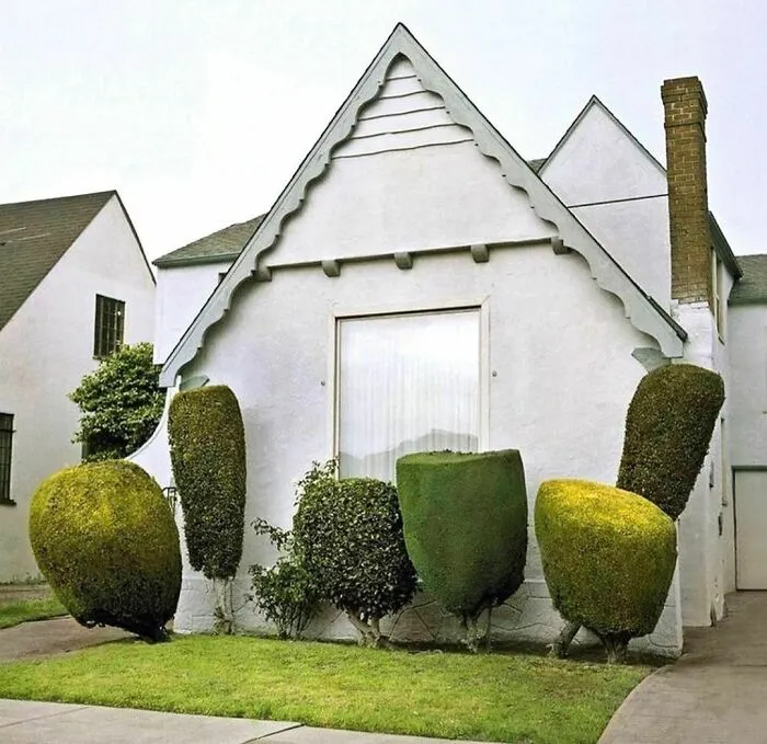 Strange Topiary. Like Green Popsicles