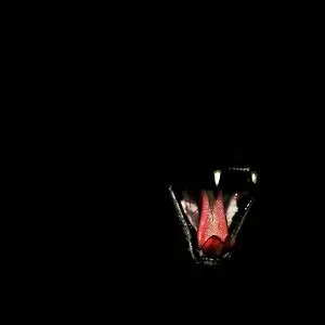 that_lone_cat