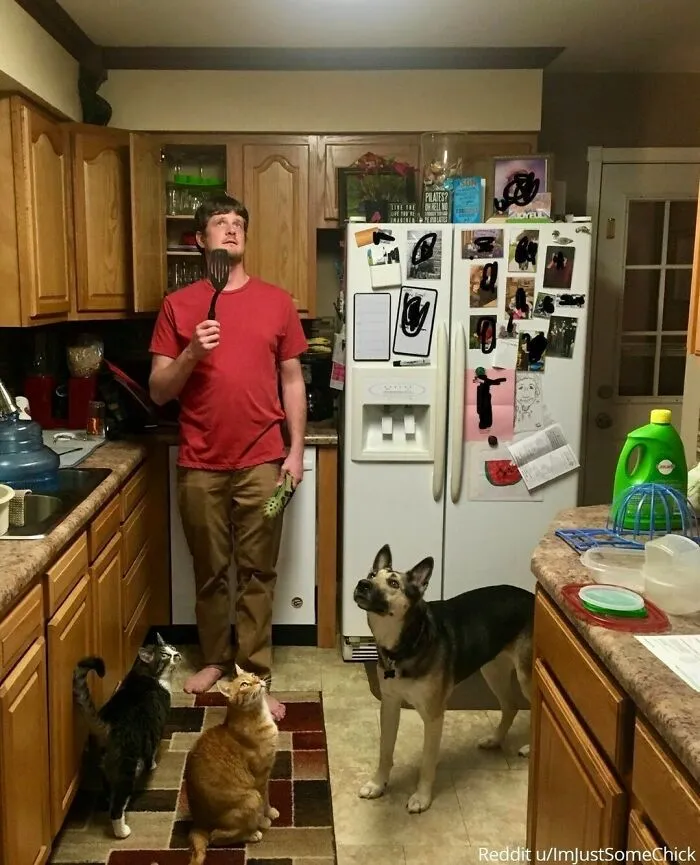 “Había una polilla en nuestra cocina”.