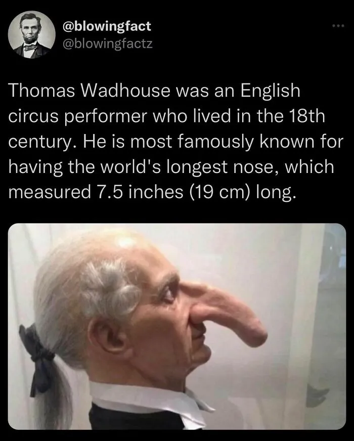 This Instagram Account Shares Fascinating Fun Facts You Probably Didn’t Learn In School, Here Are 50 Of Their Best Posts