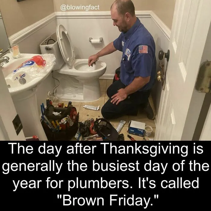 This Instagram Account Shares Fascinating Fun Facts You Probably Didn’t Learn In School, Here Are 50 Of Their Best Posts