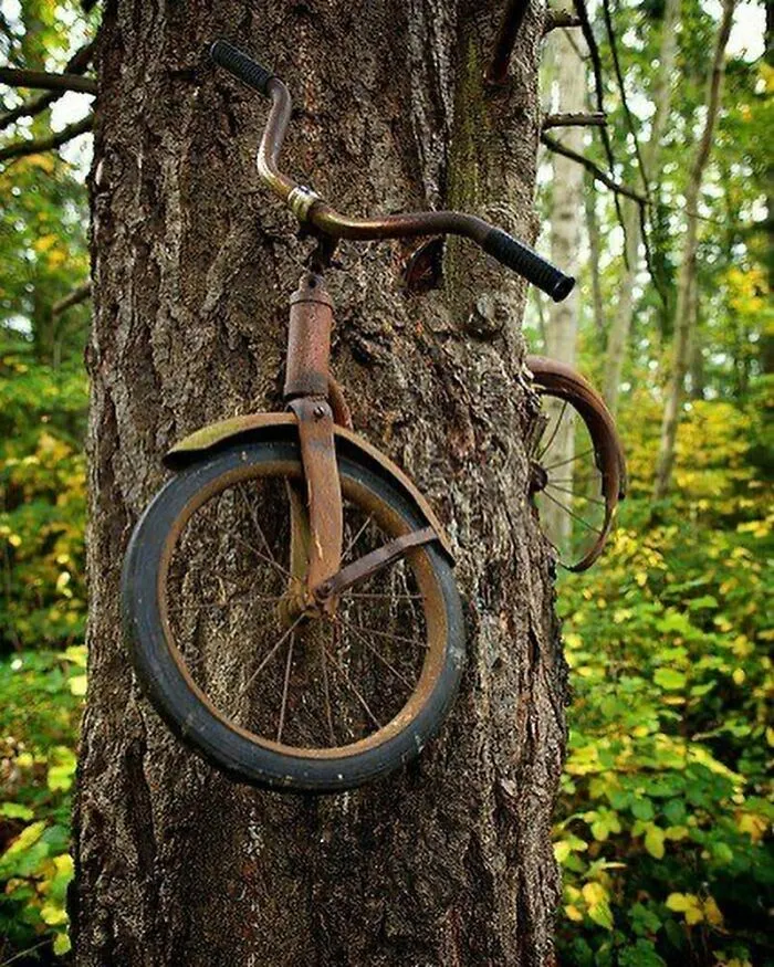 I’m Stuck On You Babe! Love Is In The Air. Or Is It In The Trees?