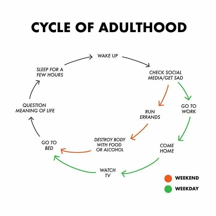 "Thousands Of Charts, Dozens Of Laughs": 30 New Honest And Funny Charts From Matt Shirley That Perfectly Sum Up Our Lives (New Pics)