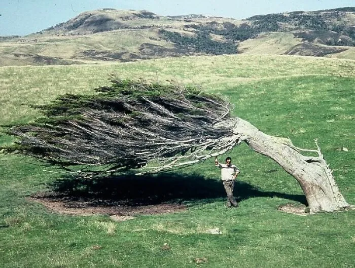 Slope Point Is The Southern Most Point Of New Zealand’s South Island