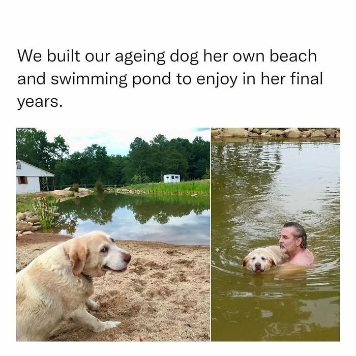 If The World Feels Like A Terrible Place, These 50 Wholesome Pics And Memes Might Cheer You Up