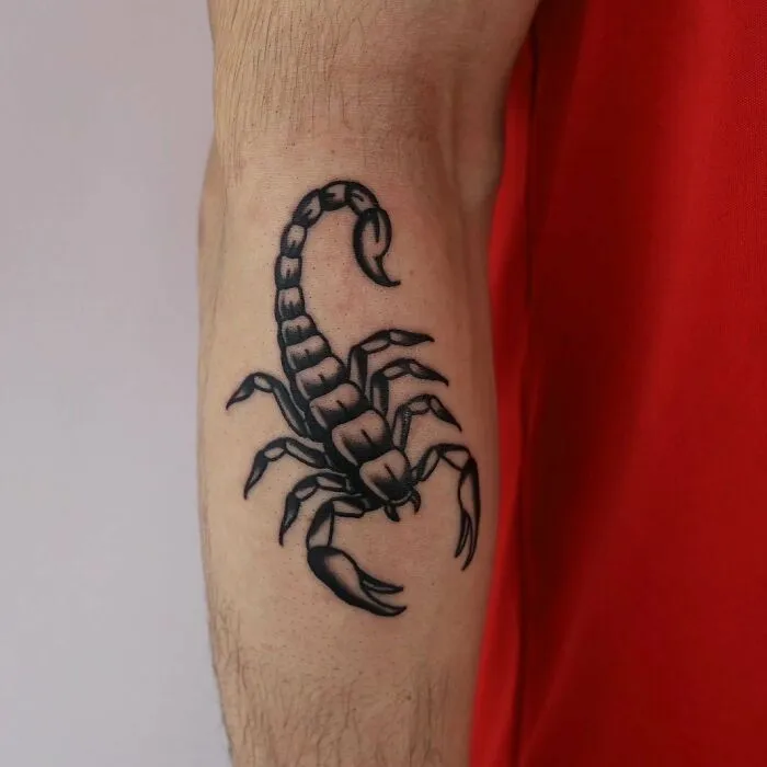 American traditional scorpion tattoo on a forearm, showcasing bold lines and classic design.
