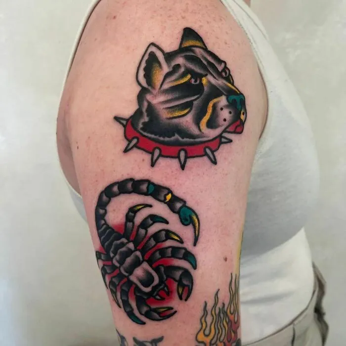 Colorful American traditional tattoo of a cat's head and scorpion on a person's arm, showcasing bold lines and vibrant colors.
