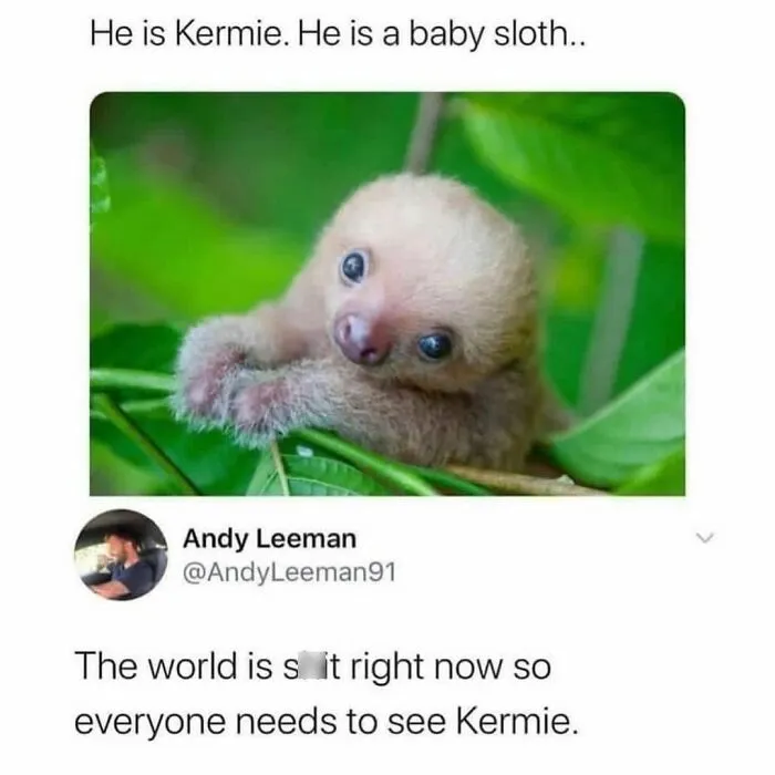 If The World Feels Like A Terrible Place, These 50 Wholesome Pics And Memes Might Cheer You Up