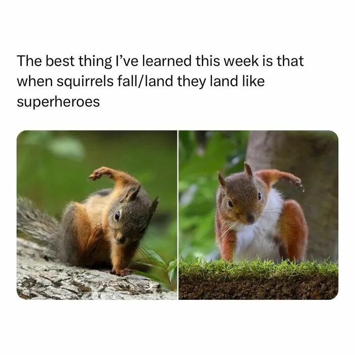 If The World Feels Like A Terrible Place, These 50 Wholesome Pics And Memes Might Cheer You Up