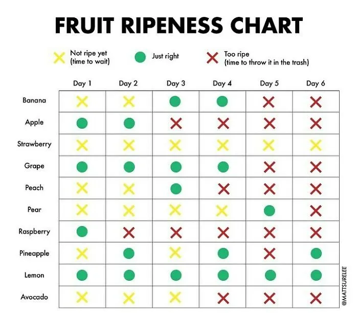 "Thousands Of Charts, Dozens Of Laughs": 30 New Honest And Funny Charts From Matt Shirley That Perfectly Sum Up Our Lives (New Pics)