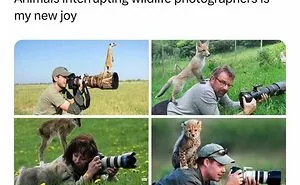 If The World Feels Like A Terrible Place, These 50 Wholesome Pics And Memes Might Cheer You Up