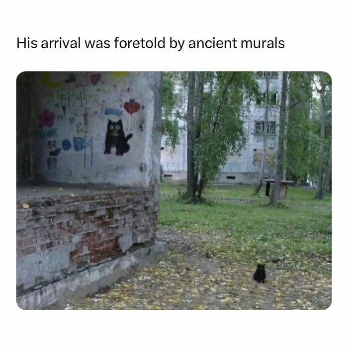 If The World Feels Like A Terrible Place, These 50 Wholesome Pics And Memes Might Cheer You Up