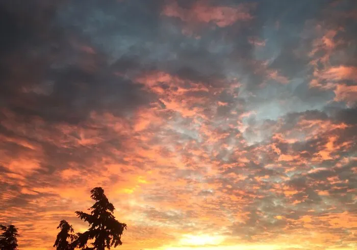 View From The Front Porch