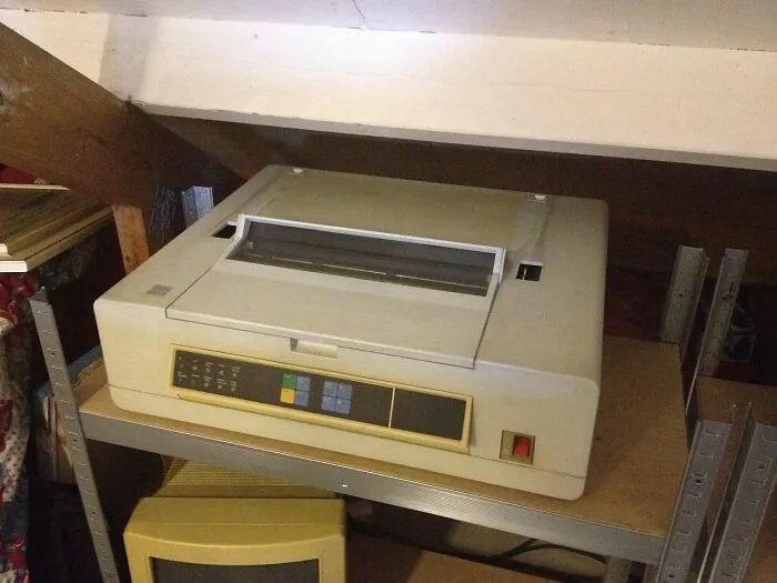 Daisy Wheel And Dot-Matrix Printers