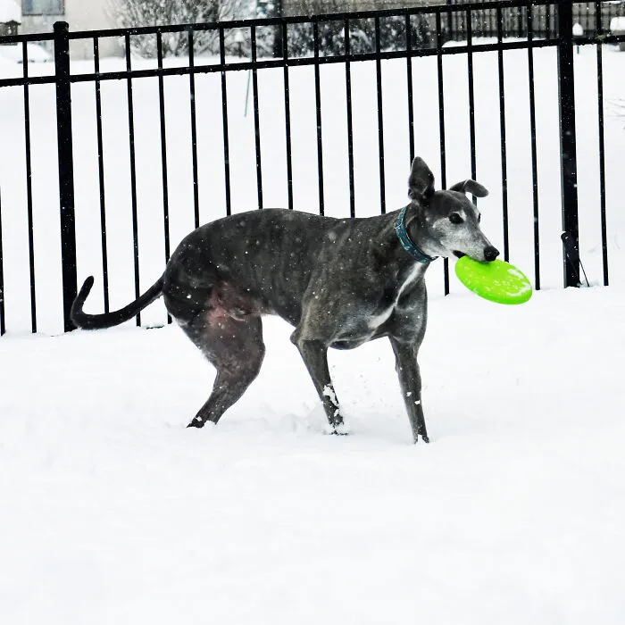 Lost His Leg To Cancer But Still Going Strong