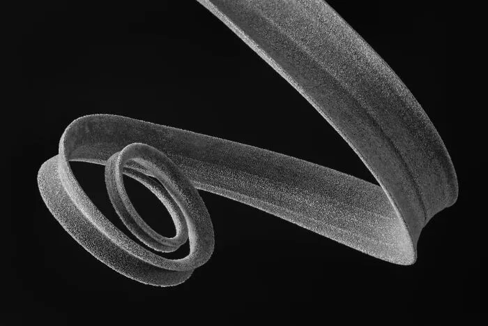 Preseleccionado: "Espiral de plantas aéreas nº 1", de Donald Bolak