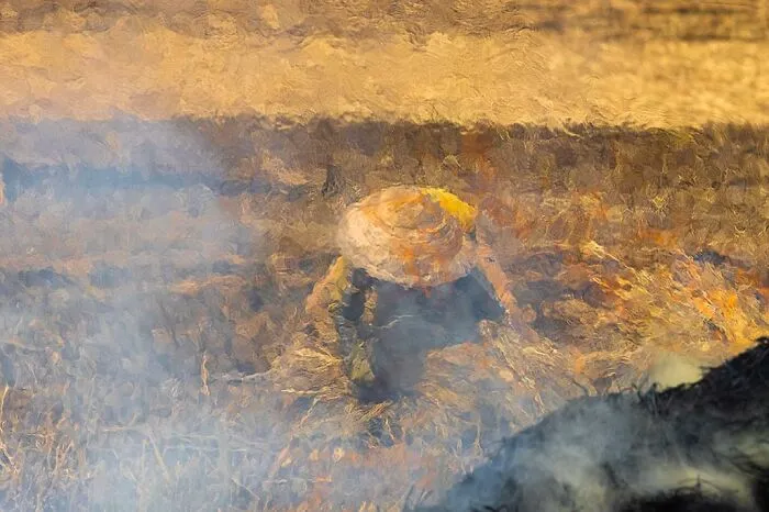 "Flame"