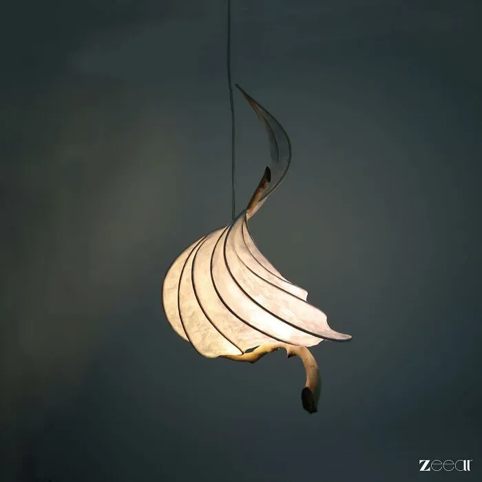 From My Imagination To Illumination (15 Pics)