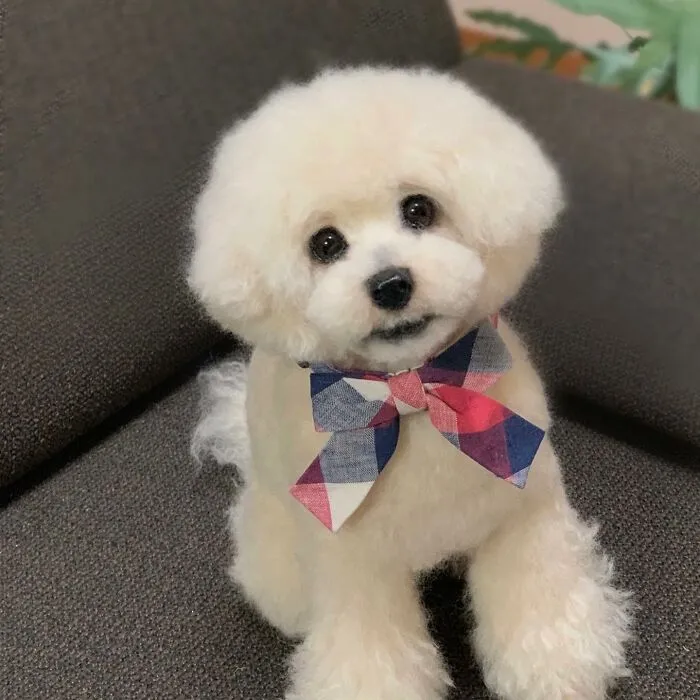 This Artist Creates Such Adorable Animals, It’s Hard To Believe They’re Made Of Wool (23 New Pics)