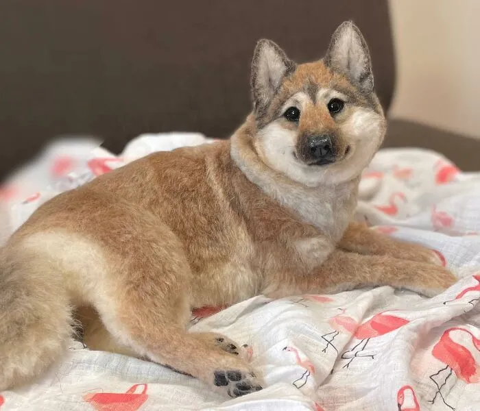 This Artist Creates Such Adorable Animals, It’s Hard To Believe They’re Made Of Wool (23 New Pics)