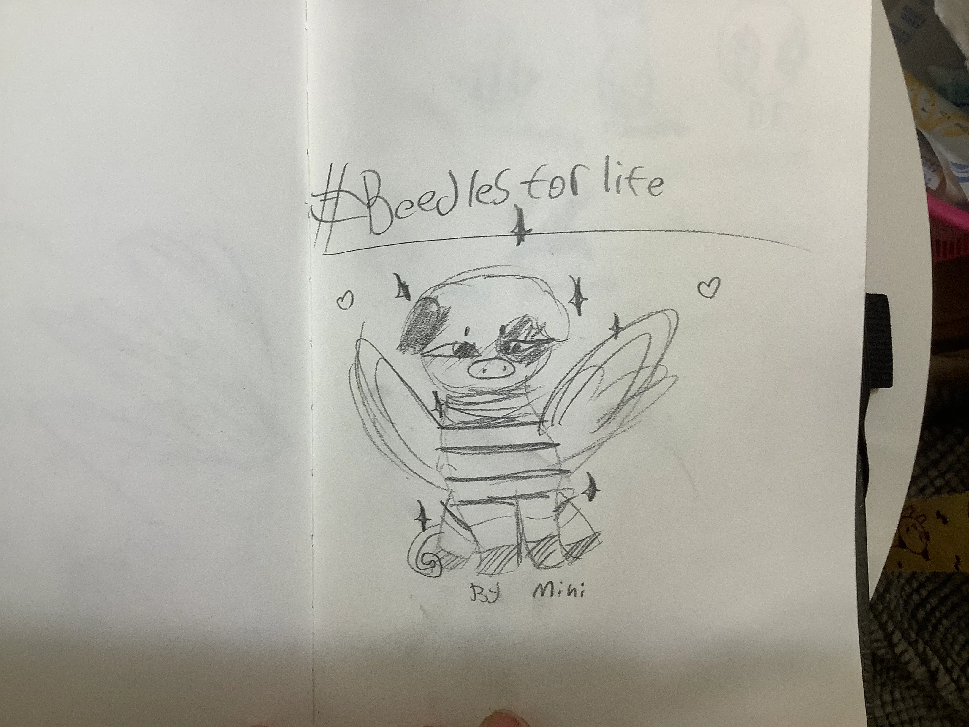 Hey Pandas, Post Ship Art!