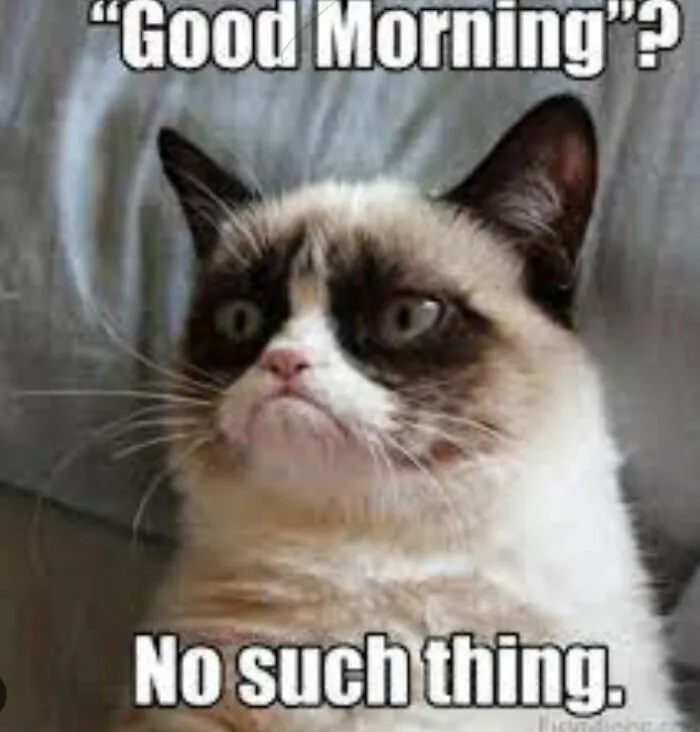 Me Every Day