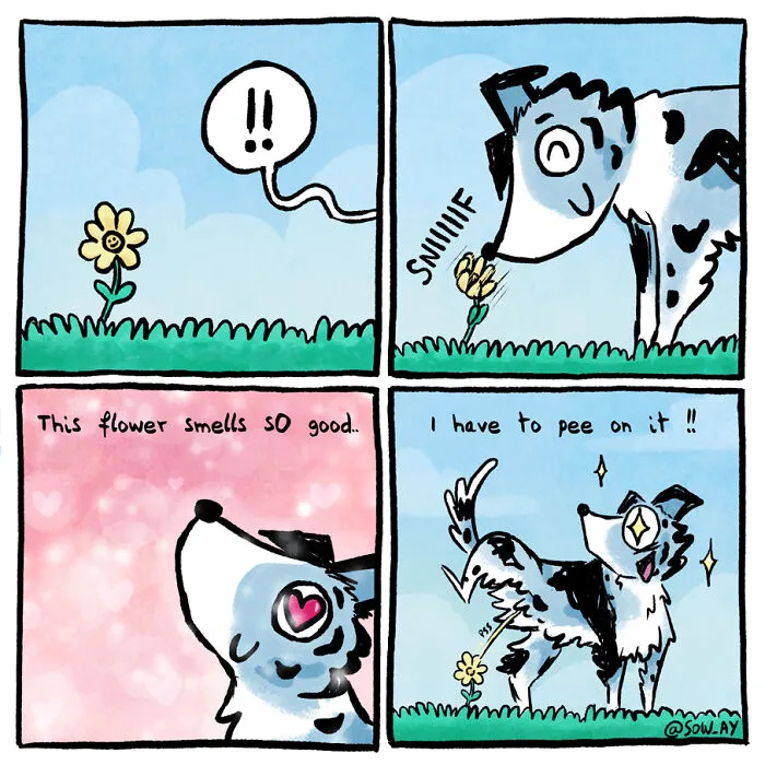 He Loves To Smell Plants And Flowers
