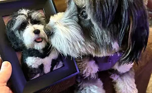 Anneli Kirby Turns Wool Into Three-Dimensional Dog Portraits, And Here Are Her 37 Best Works