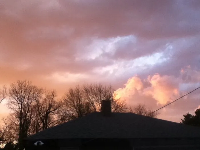 My Back Yard