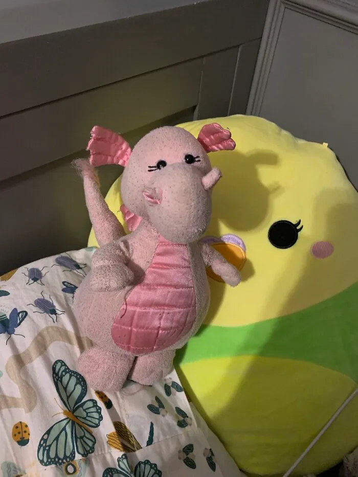Hoops The Pink Dragon