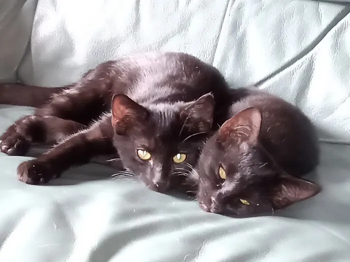 James And Snowflake At 6 Months