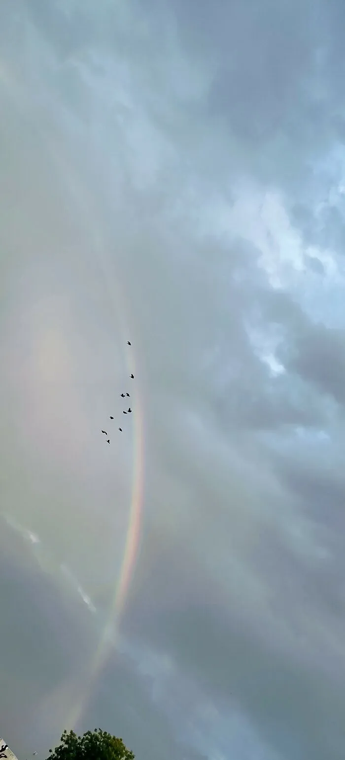 First Rainbow Of The Year🌈 🌫