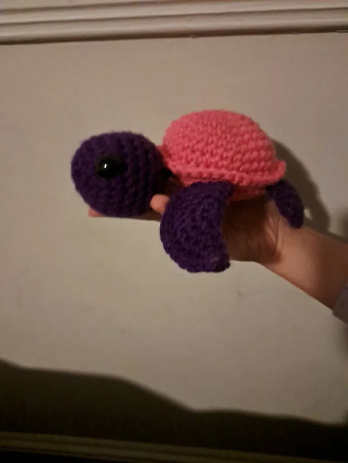 Shelly The Sea Turtle