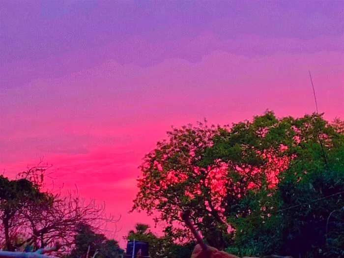 The Phenomena Of Pink Sunset