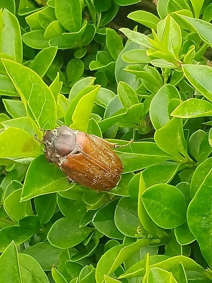 I Think It's Asleep