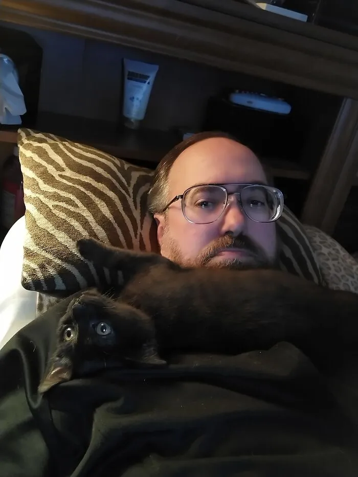 Shadow Does Not Really Understand The Concept Of Personal Space