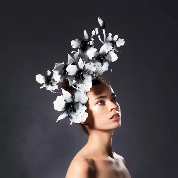Black And White Orchids