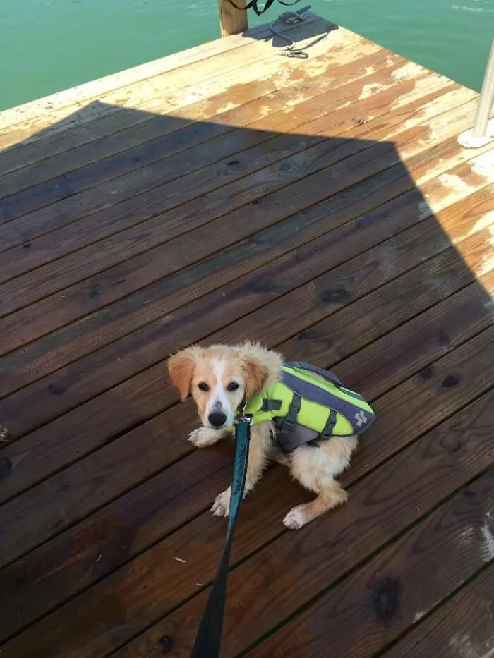 Mary's First Trip To The Lake.  She Loved The Boat Ride But Not Impressed With The Water