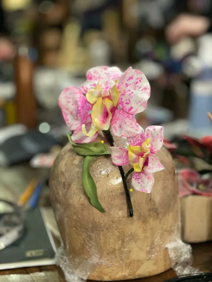 Student Work- White Orchid With Pink Spots
