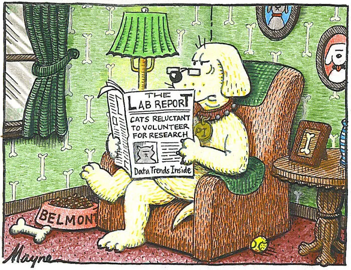 Dogs In Research