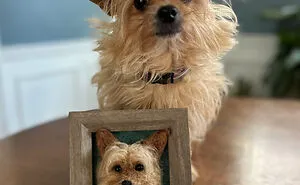 Anneli Kirby Turns Wool Into Three-Dimensional Dog Portraits, And Here Are Her 37 Best Works